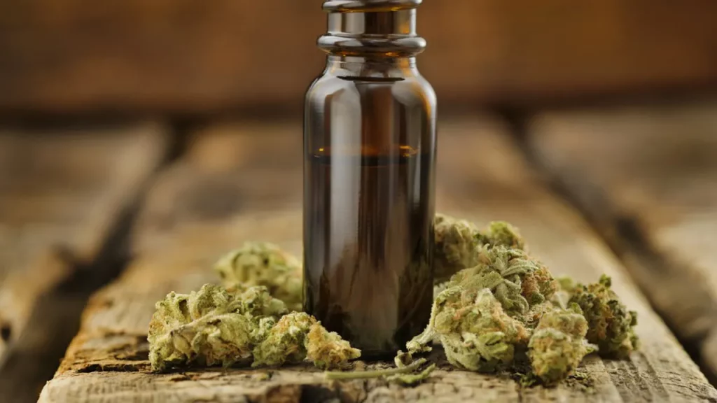 Suspension de l’interdiction de vente de fleurs de CBD en France