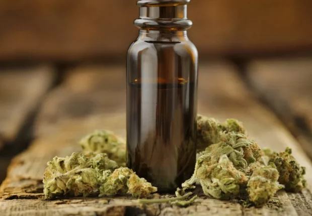 Suspension de l’interdiction de vente de fleurs de CBD en France