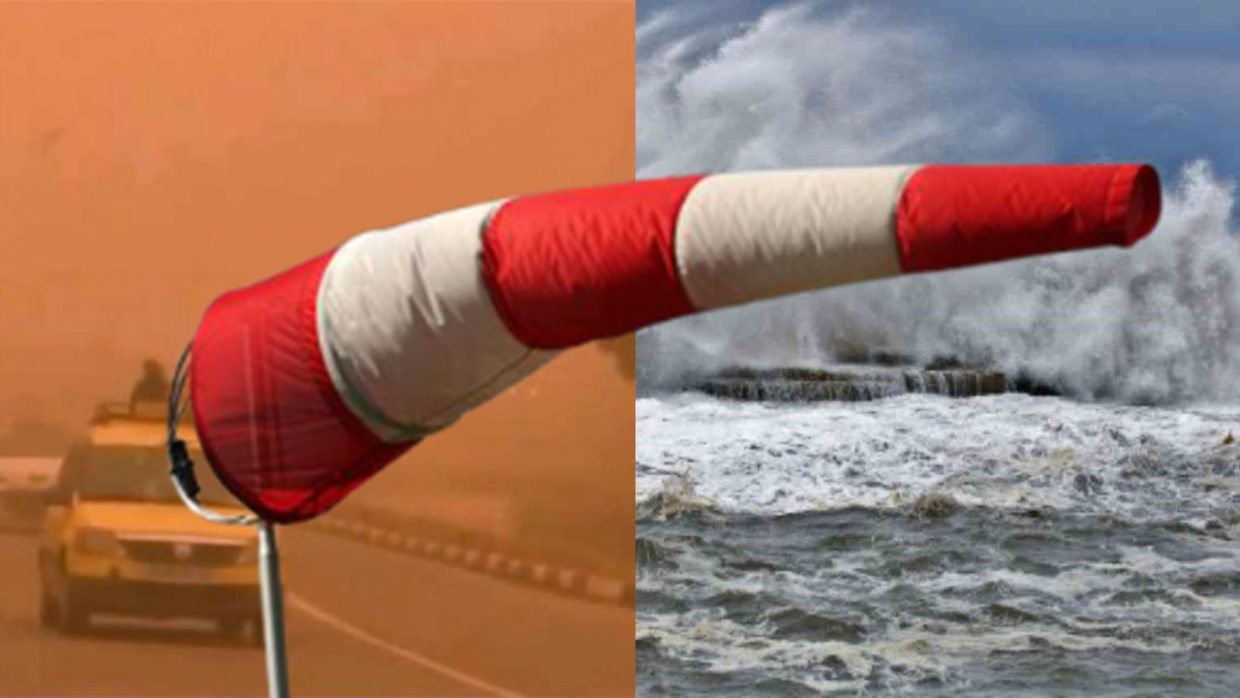 Météo : vent et soulèvement de sable dans plusieurs wilayas