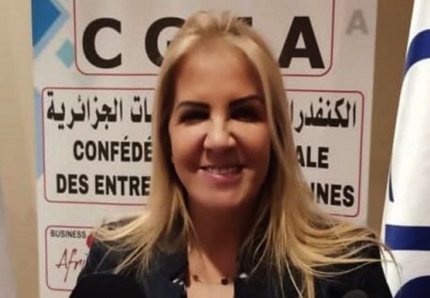 Investissement : quand un « ministre fait fuir des investisseurs »