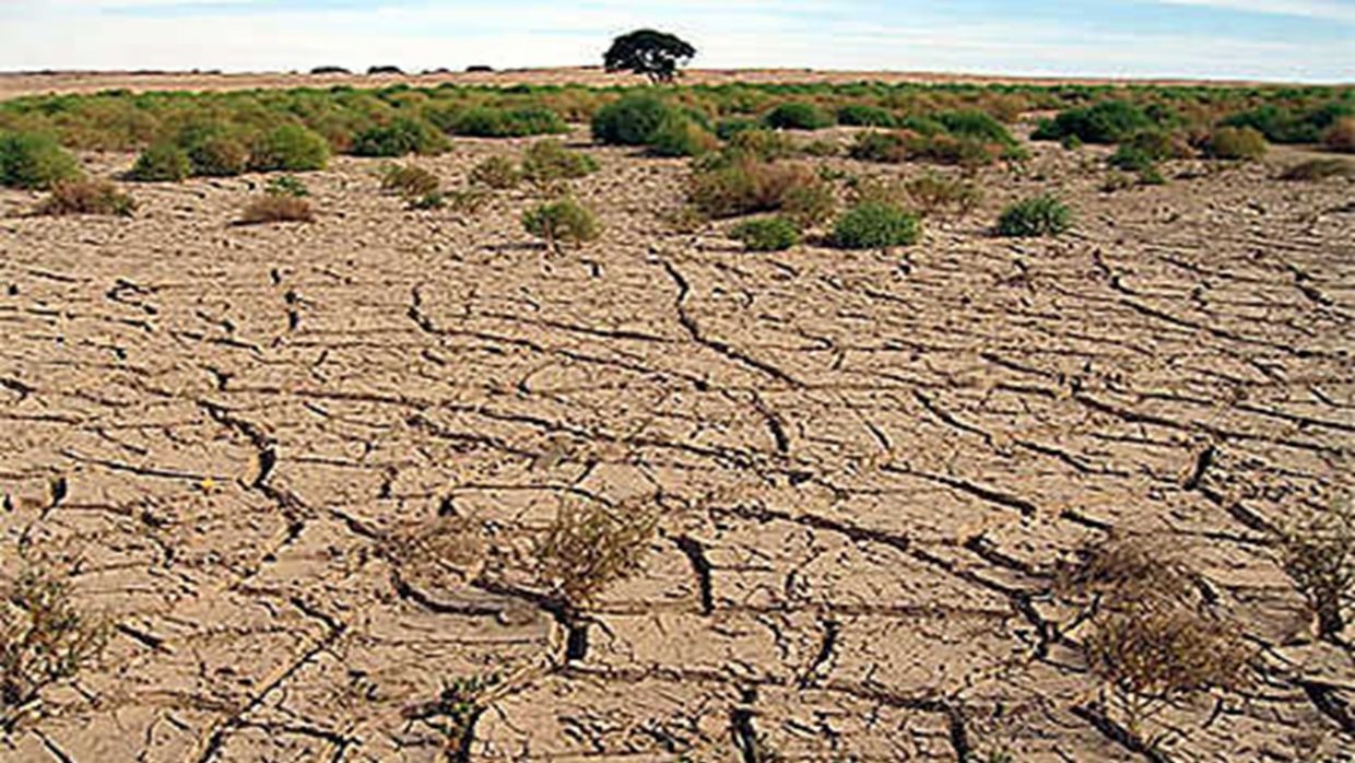 Manque de pluie en Algérie : est-il temps de parler de sécheresse ?