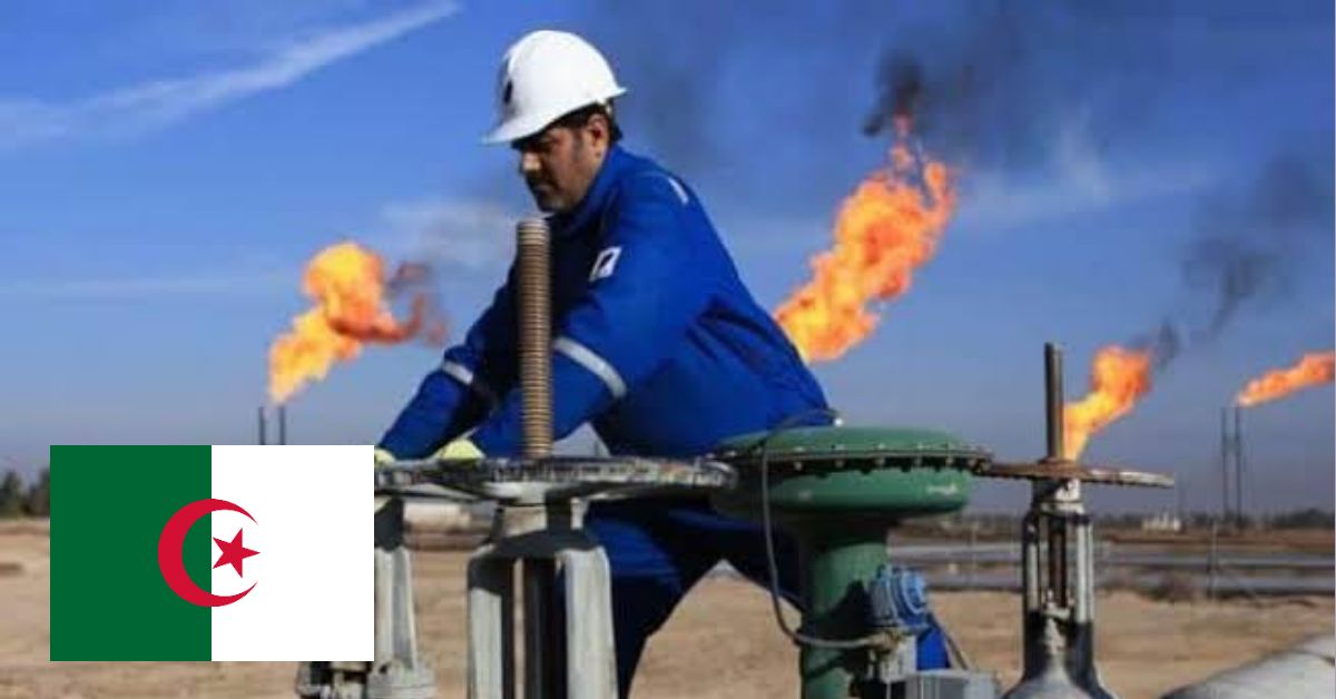 Classement des producteurs de pétrole : l’Algérie dans le Top 5 africain