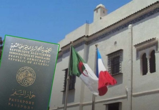 Renouvèlement passeport algérien en France : ce que propose Yagoubi