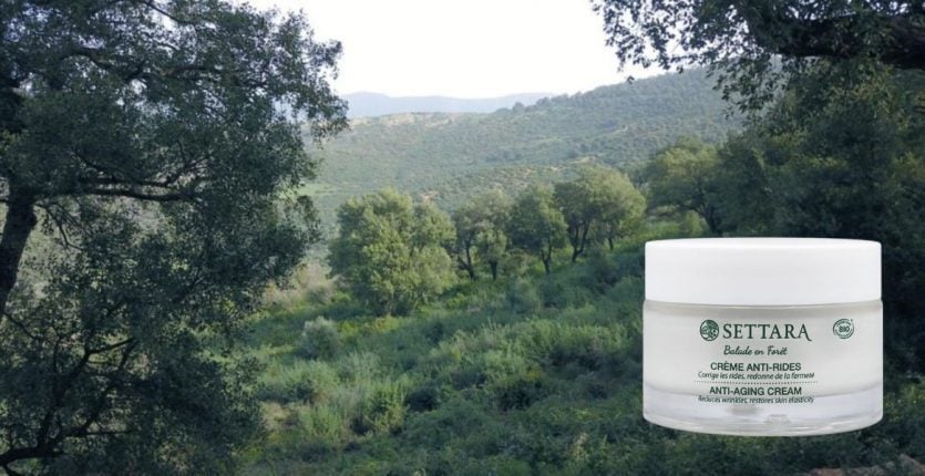 Une marque française puise ses ingrédients des forêts algériennes