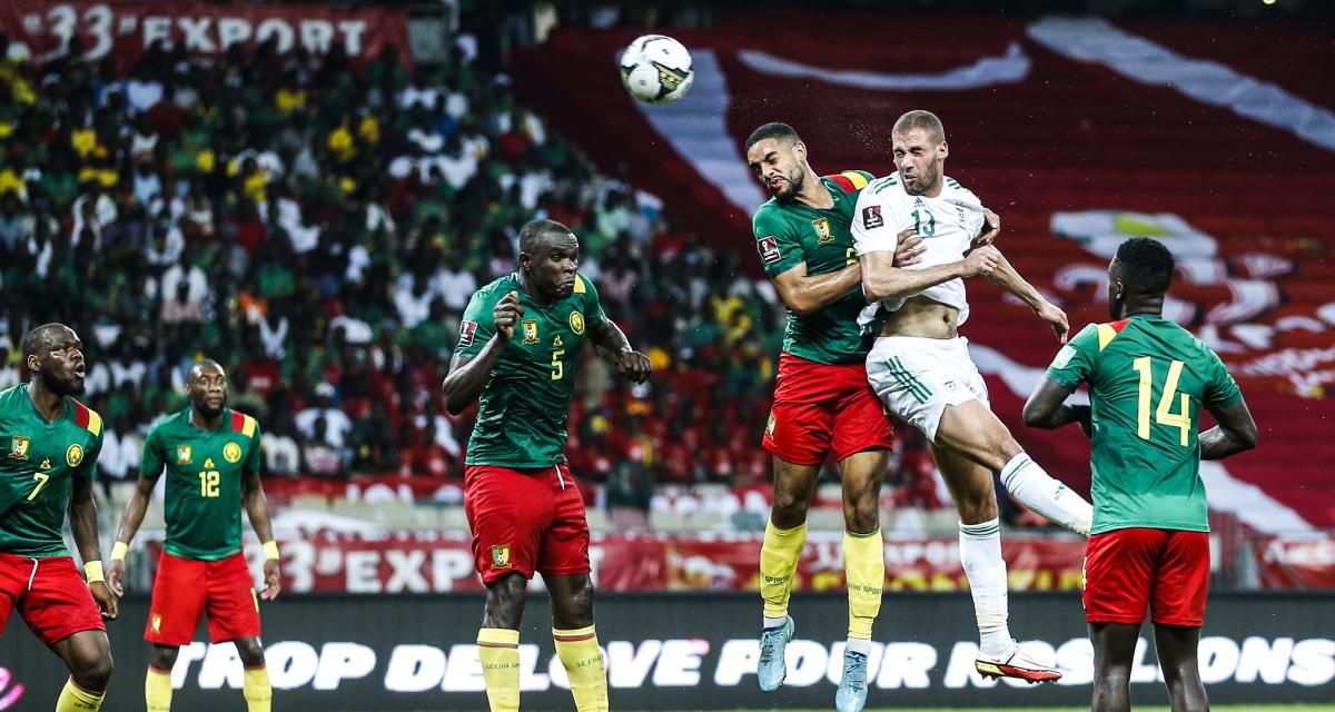 Vers un autre match Algérie-Cameroun le mois prochain