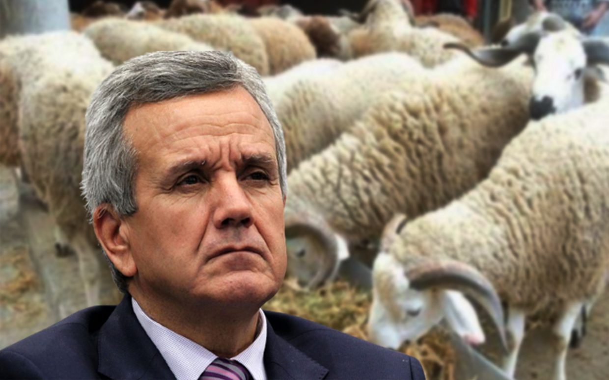 Aïd al-Adha 2022 : les mises en garde du Ministère de la Santé