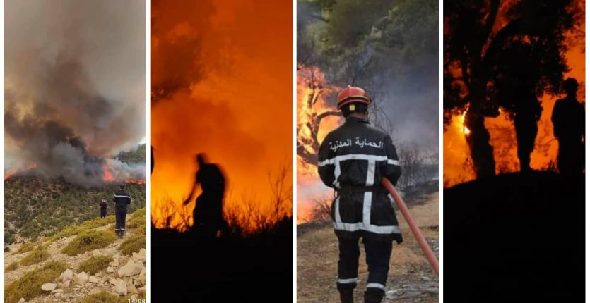 Feux de Forêts 2022 en Algérie: le point sur la situation de ce 15 aout