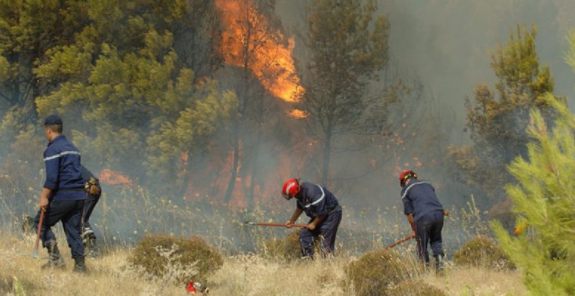 Incendies en Algérie : que faire face à un départ de feu de forêt ?
