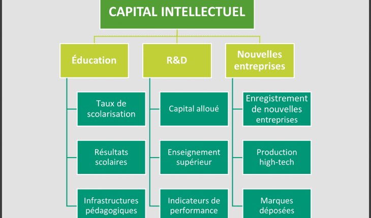 Конституция индекса интеллектуального капитала