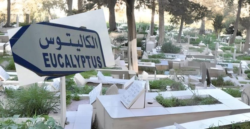 Alger : découverte de deux corps sans vie enterrés aux Eucalyptus