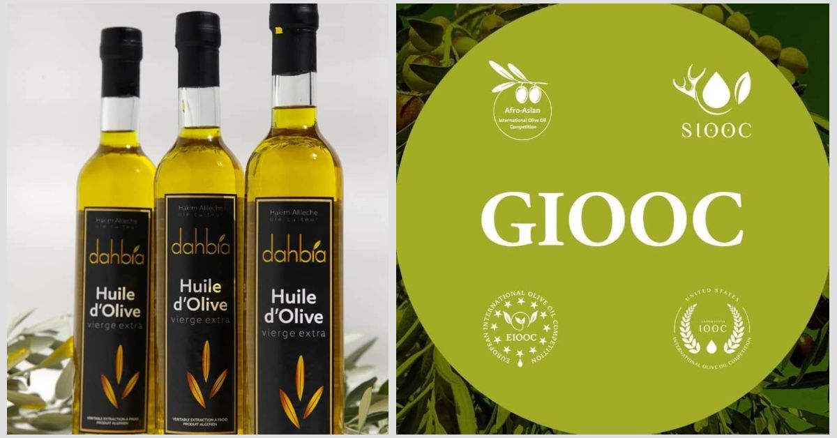 Algerisk olivenolje: en ny pris for «Dahbia»-merket i Norge