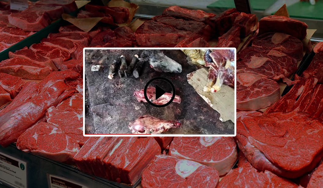 Viande d’ânes : un atelier d’abattage découvert à el Taref, 3 individus interpellés (Vidéo)