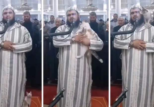 Le chat grimpant sur l&rsquo;épaule d&rsquo;un imam en plein Tarawih fait le buzz (Vidéo)