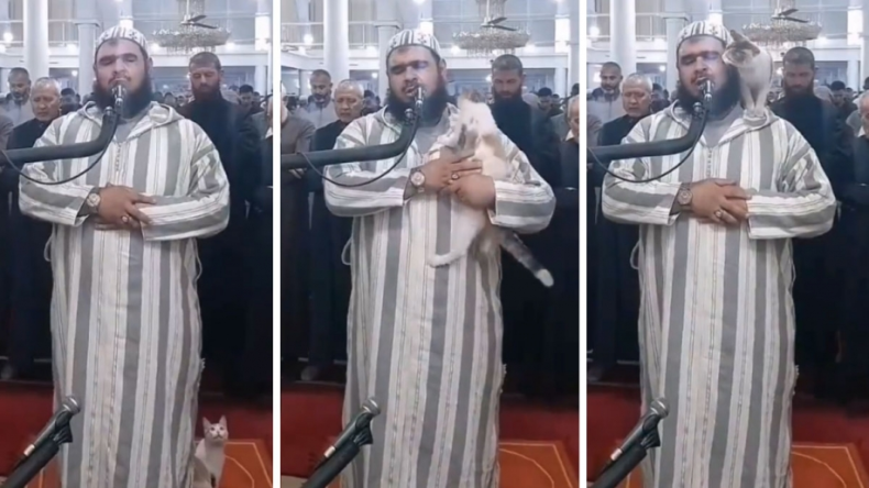 Le chat grimpant sur l’épaule d’un imam en plein Tarawih fait le buzz (Vidéo)
