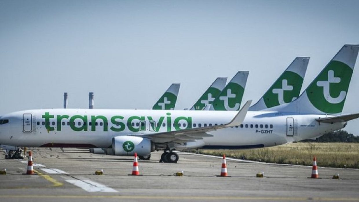 Vols France Algérie Transavia ouvre les ventes pour l'hiver 2023/