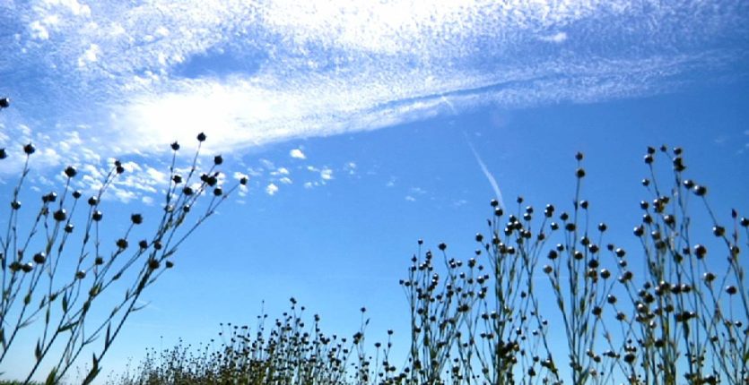 Bulletin météo Algérie : persistance d’un temps printanier sur l’ensemble du pays ce 4 mai