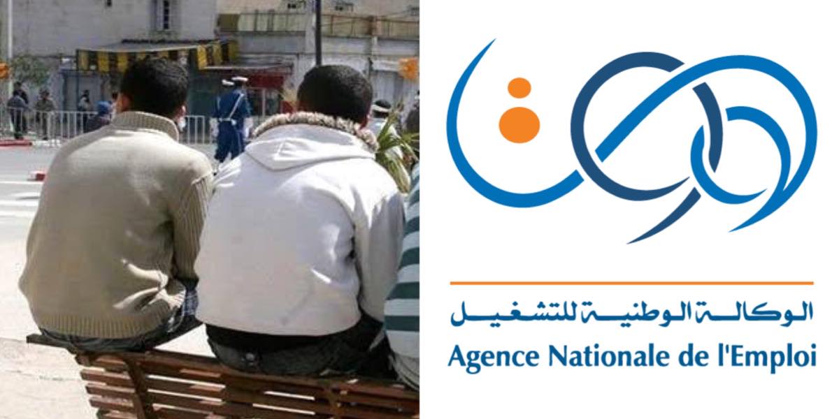 Allocation chômage Algérie 2023 : l'important appel de l'ANEM - Algerie360