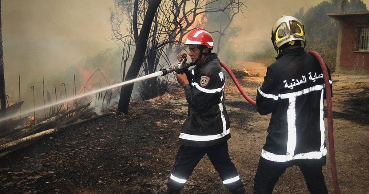 Algérie : Appel à la vigilance face aux risques accrus d’incendies en période de forte chaleur
