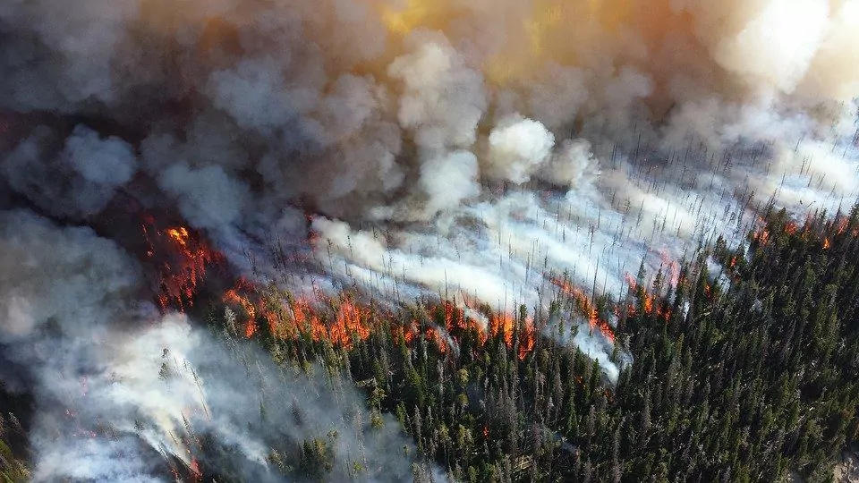 Modernisation de lutte contre les feux de forêt : vers le recours aux satellites en 2024