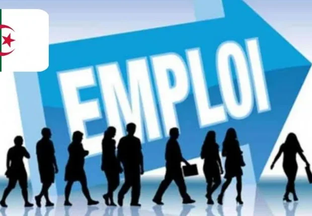 Emploi en Algérie : voici les chiffres avancés par le Gouvernement