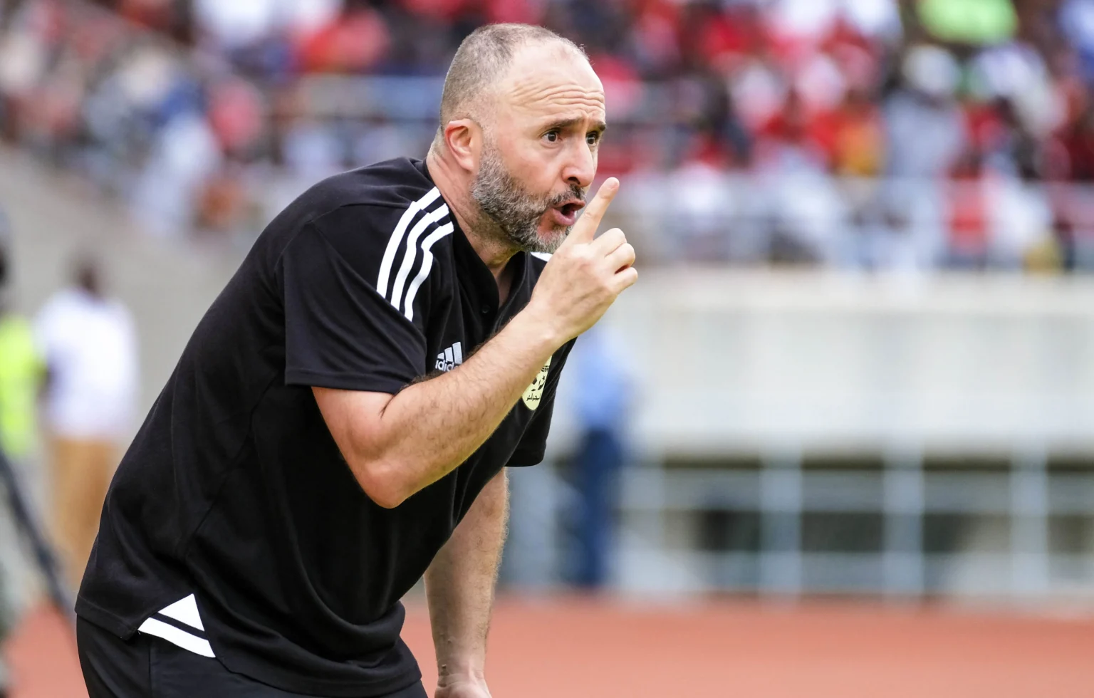 CAN 2023 : Djamel Belmadi tire sur certains consultants des plateaux TV