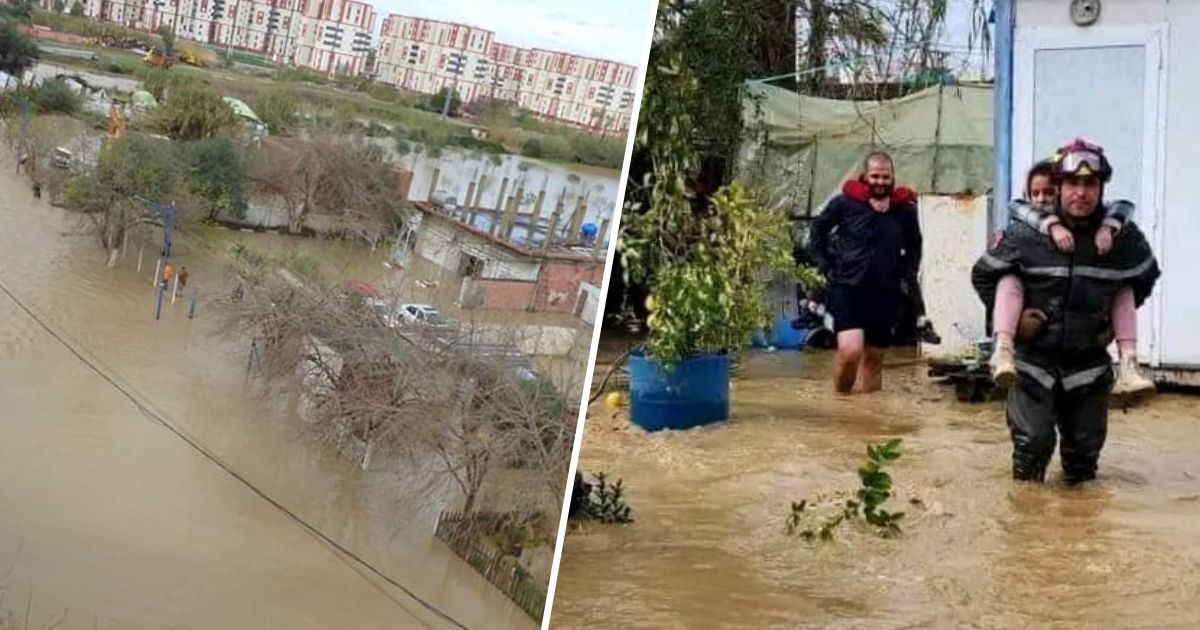 Algeria: Rainfall report by wilaya (16-18 February) Algeria: Rainfall report by wilaya (16-18 February)