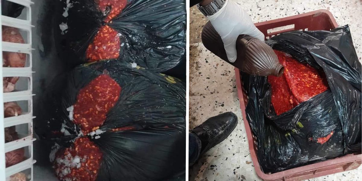 Algeria: The authorities seize 72 kg of spoiled meat in 2 butcher shops in Ain Defla. Algeria: The authorities seize 72 kg of spoiled meat in 2 butcher shops in Ain Defla.