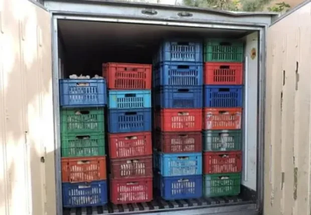 Les autorités saisissent 18,36 quintaux de poulet avariés à El Bayadh