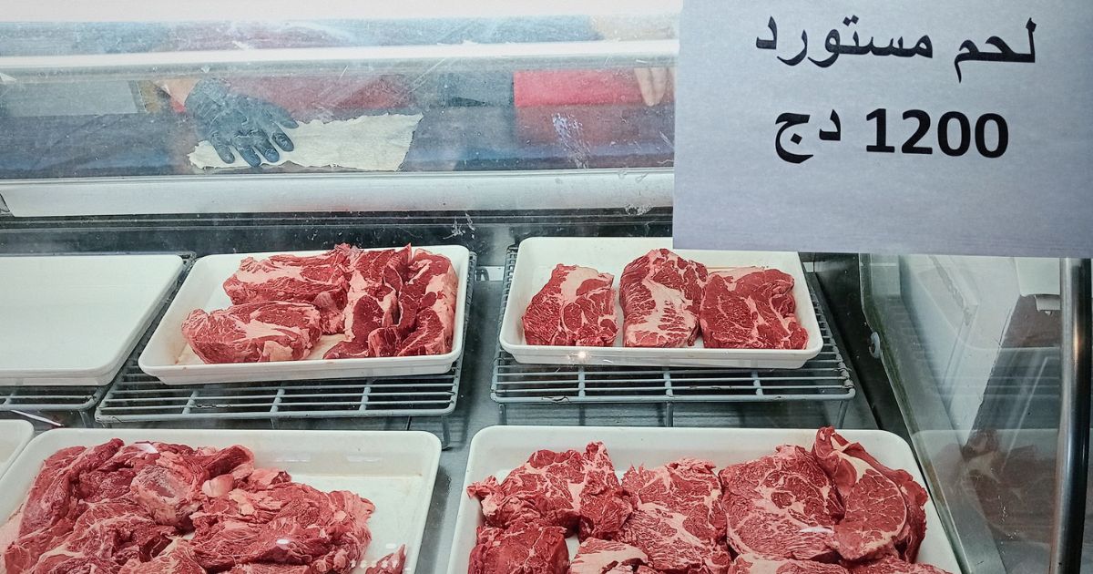Algeria: Imported red meat: profit margins capped (Official journal) Algeria: Imported red meat: profit margins capped (Official journal)