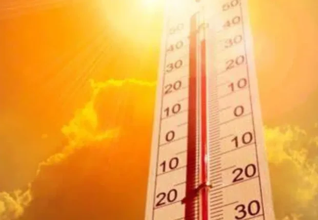 BMS en Algérie : alerte canicule dans plusieurs régions