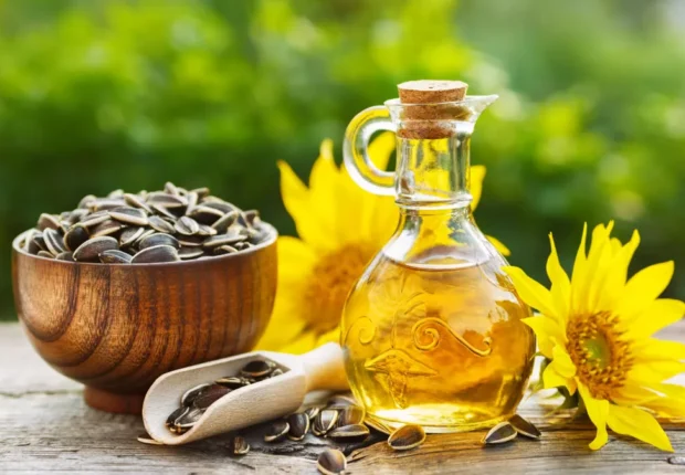 Autosuffisance alimentaire : Lancement d’un ambitieux projet de culture des oléagineuses au Sahara