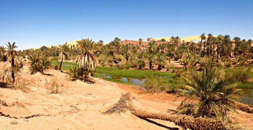 Lancement de la campagne du tourisme saharien : La Saoura se dévoile aux voyageurs