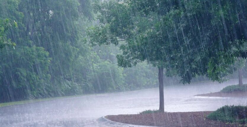 BMS – Météo Algérie : début de semaine pluvieux, plusieurs wilayas sous vigilance ce 27 octobre