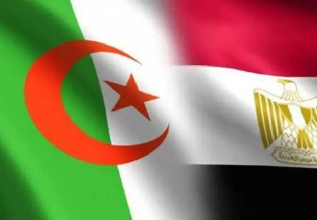 Algérie-Égypte : unis pour un partenariat gagnant-gagnant dans un secteur clé