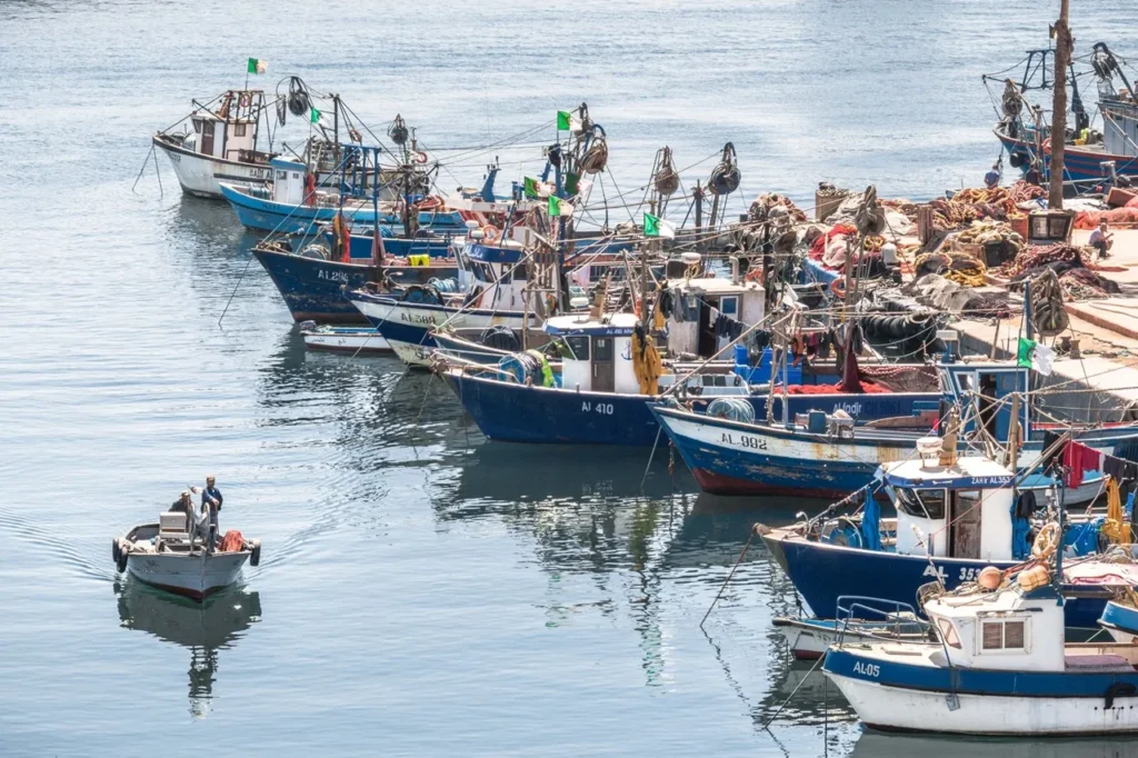 Lutte contre la pêche illégale : l’Algérie remporte le prix CGPM de la FAO