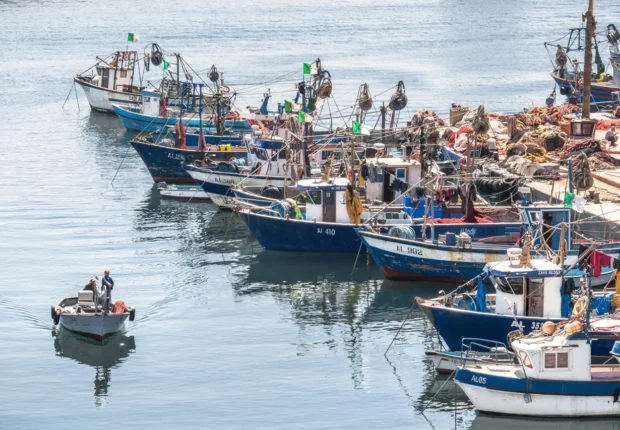 Lutte contre la pêche illégale : l’Algérie remporte le prix CGPM de la FAO