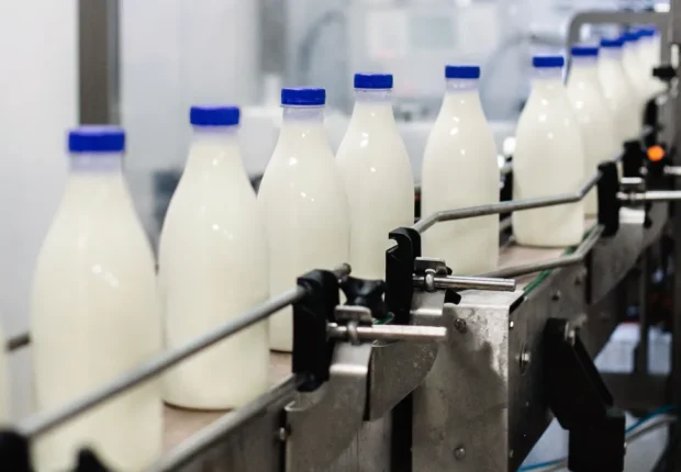 Filière lait : Une dépendance excessive aux importations met en péril la production locale