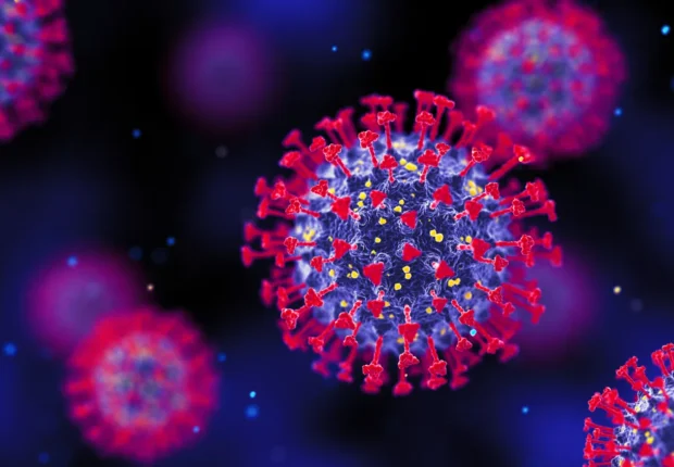 COVID-19 : Le variant XEC, une nouvelle menace saisonnière qui nécessite vigilance et prévention