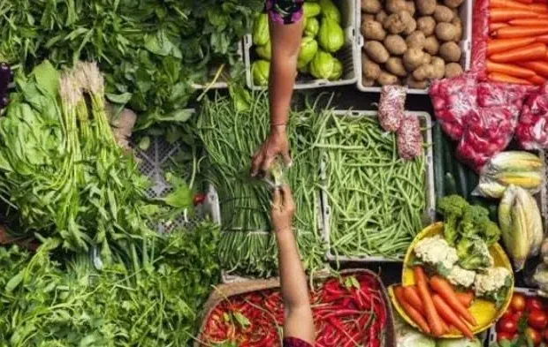 Vendeuse de légumes depuis l’enfance : le parcours inspirant de cette jeune algérienne