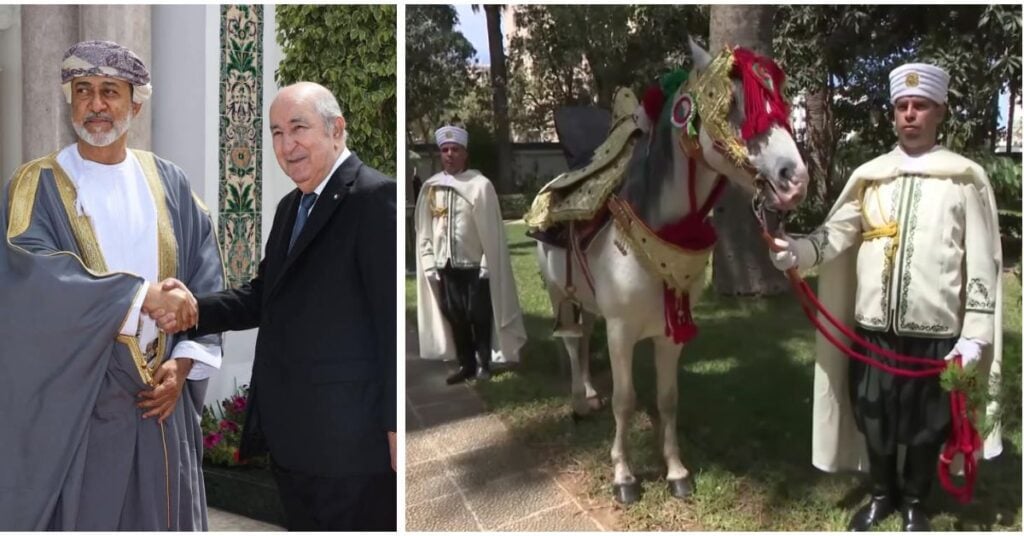 Tebboune scelle l’amitié avec Oman : un cheval Barbe offert au Sultan Haïtham ben Tariq