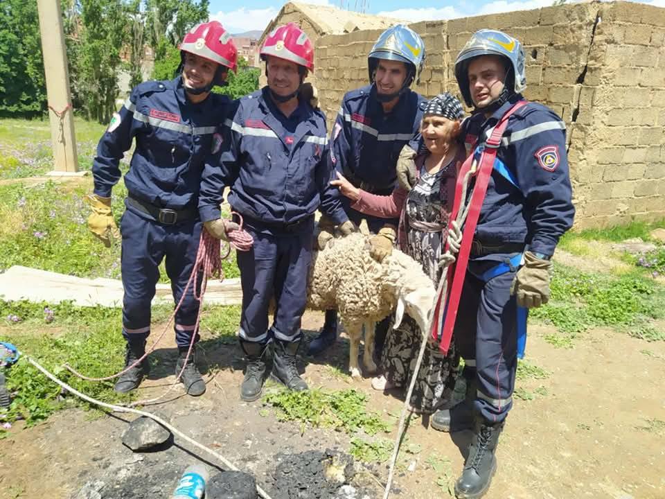 Mouton piégé à 22 mètres sous terre : un sauvetage spectaculaire à Sétif ! [images]