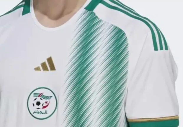 Un international algérien envisage de changer sa nationalité sportive