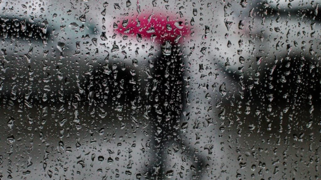 BMS – Alerte météo en Algérie : fortes pluies prévues ce vendredi, jusqu’à 60 mm dans ces régions