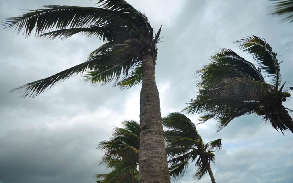 Prévisions météo du mardi 6 mai : vents violents et vents de sable attendus dans ces wilayas !