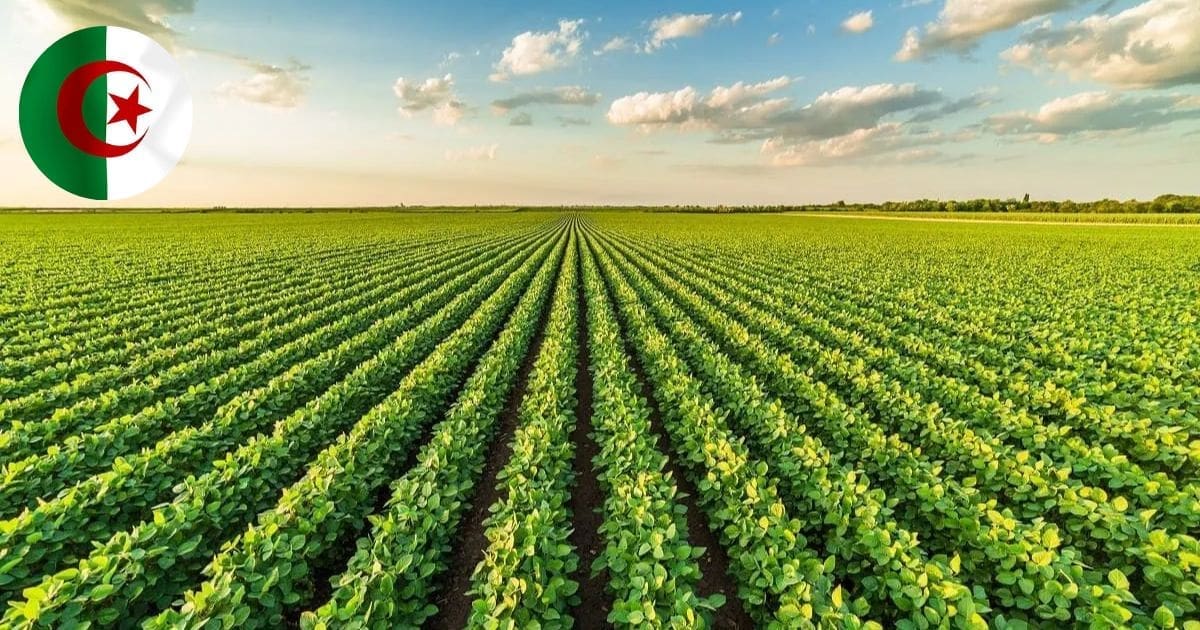L’Algérie, l’un des rares pays au monde à dire NON aux OGM
