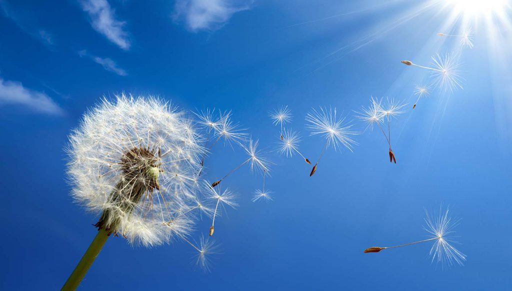 Bulletin météo du jeudi 5 juin : à la veille de l’Aïd el-Adha, quel temps fera-t-il en Algérie ?