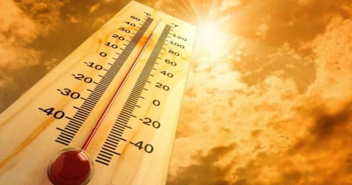 Météo en Algérie ce 16 juillet : Alerte canicule, jusqu’à 47°C dans ces wilayas