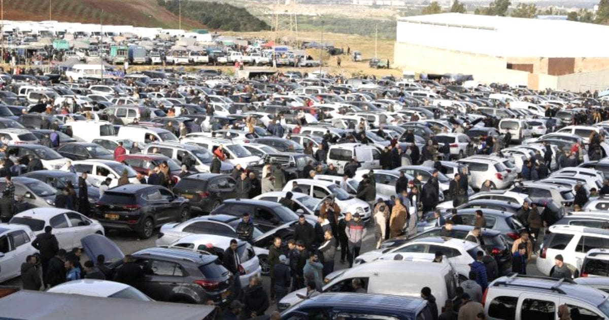 Immatriculation et revente des voitures en Algérie : ces étapes sont désormais obligatoires en 2025