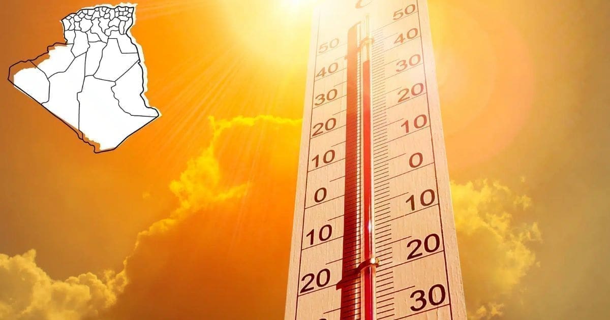 BMS – Jusqu’à 46°C attendus ce week-end en Algérie : Voici les 7 wilayas concernées