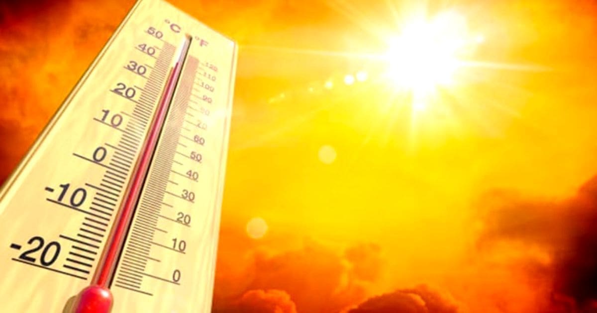 BMS – Vigilance « ORANGE » : Jusqu’à 49°C dans 8 wilayas d’Algérie les 20 et 21 juillet